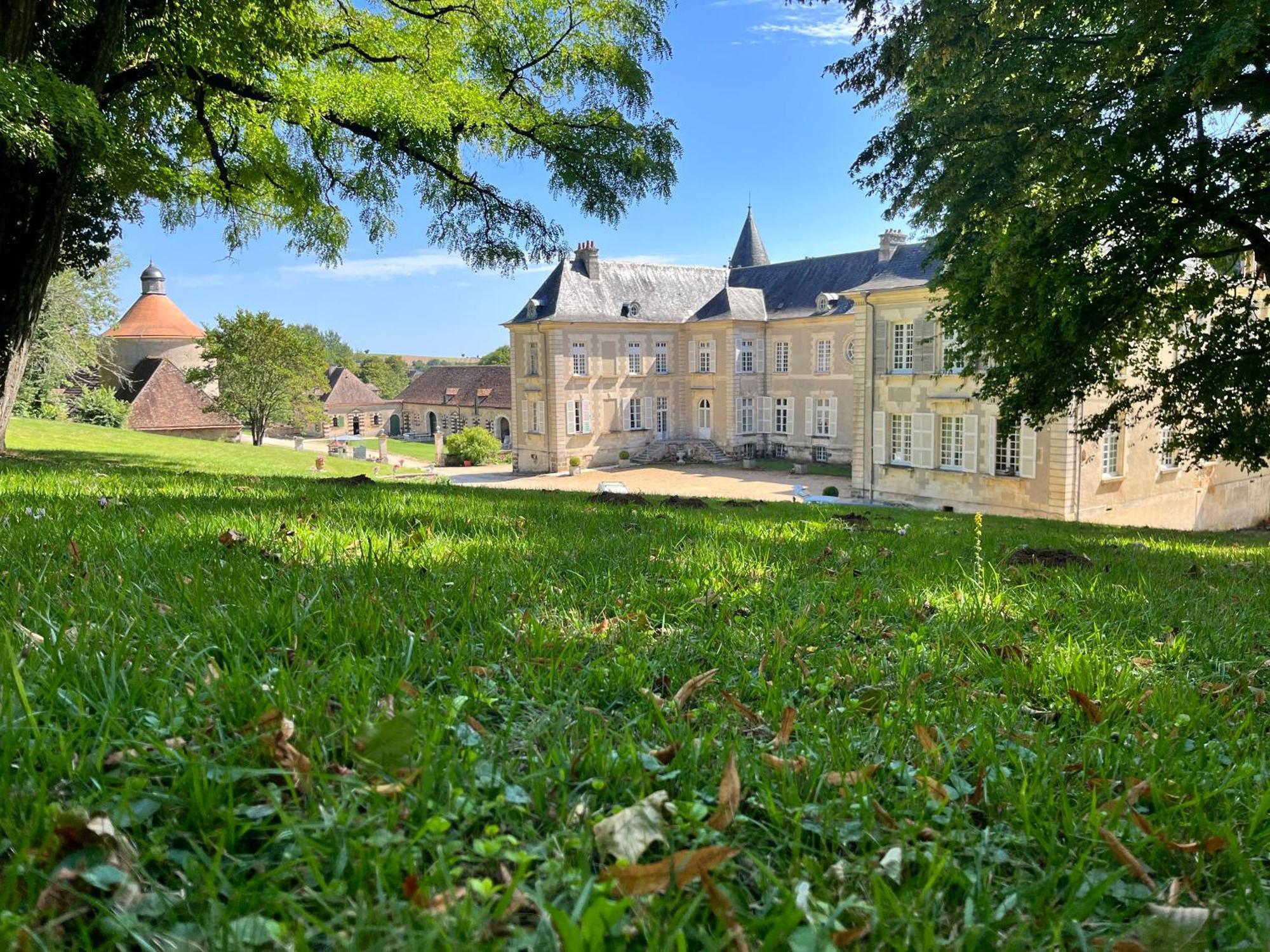 Chateau De Beaujeu Sens-Beaujeu Экстерьер фото