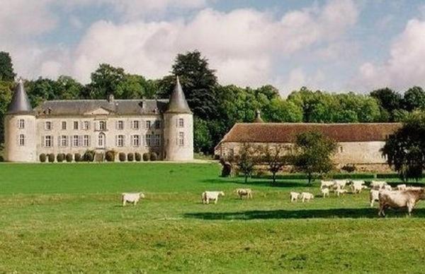 Chateau De Beaujeu Sens-Beaujeu Экстерьер фото